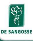Logo DE SANGOSSE